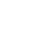 Vector