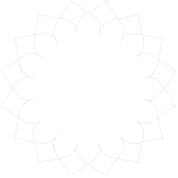 Vector