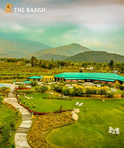 Slow Travel in Jim Corbett: How to Spend 3 Days Doing Absolutely Nothing and Loving It