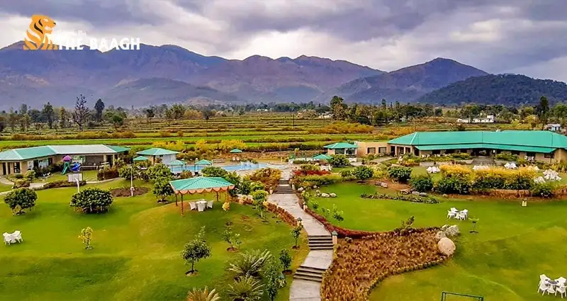 Luxury Redefined: Unveiling The Charms Of 5-Star Resorts In Ramnagar