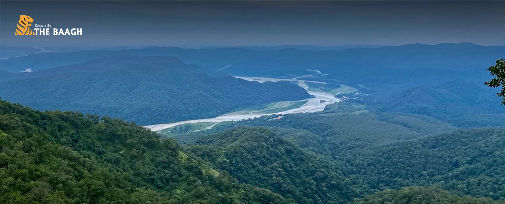 A Luxury Winter Escape to Jim Corbett: What to Expect from November to February