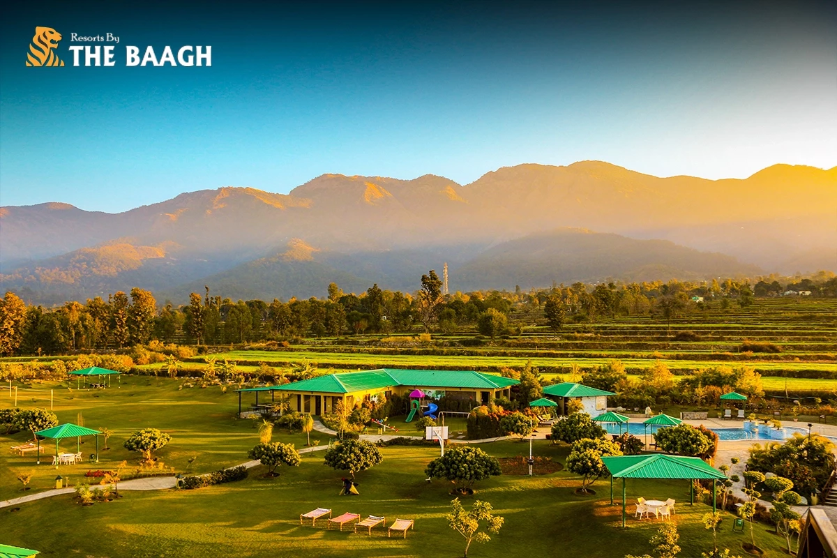 Nature, Comfort, and Celebrations: Why Resorts By The Baagh is the Ideal Luxury Resort in Jim Corbett