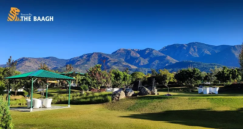 Pre-Wedding Shoot in Jim Corbett: 7 Locations That Look Like Movie Sets
