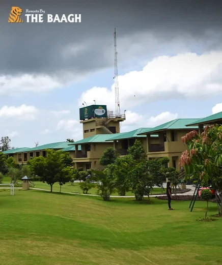 5 Lesser-Known Riverside Resorts in Jim Corbett for a Private Wilderness Retreat