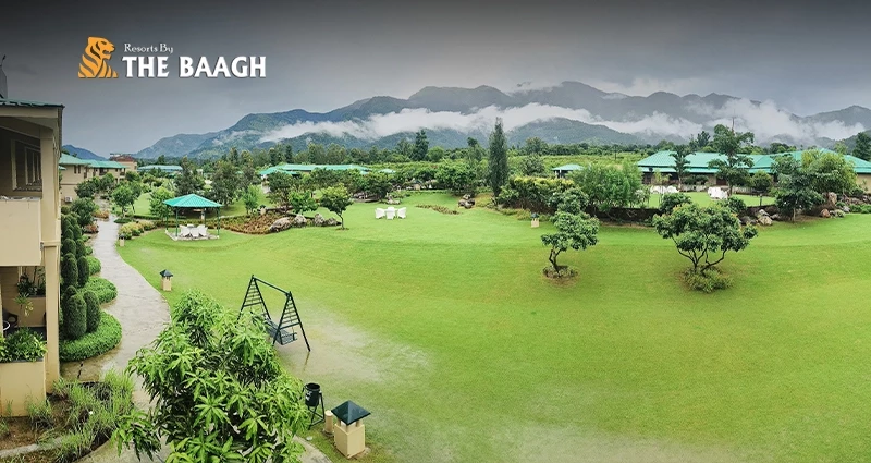 Discover Luxury in the Wild: Why Resorts By The Baagh Jim Corbett Tops the List of Hotels in Jim Corbett