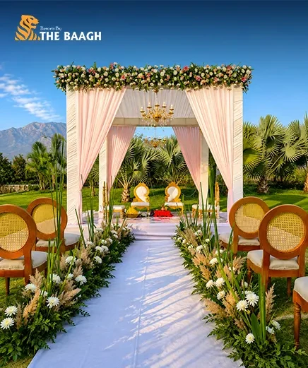 Planning A Dream Destination Wedding In Jim Corbett National Park In 2026
