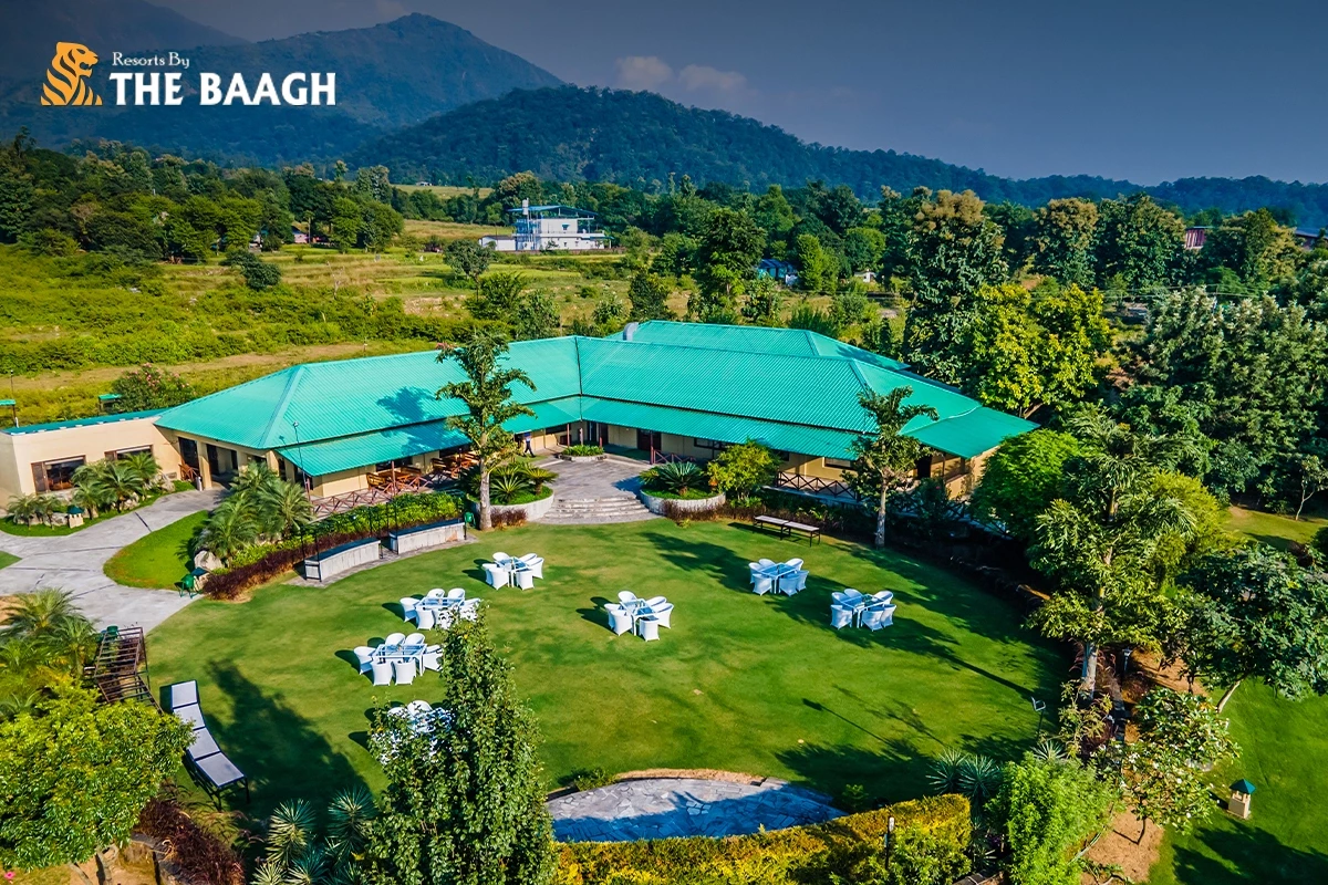 Beyond the Tiger: Why Jim Corbett Is Now North India's Favourite Weekend Detox Destination