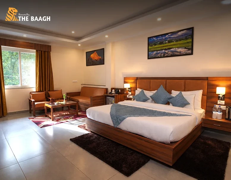 A Checklist Beyond Star Ratings for Choosing a Truly Luxury Resort in Jim Corbett