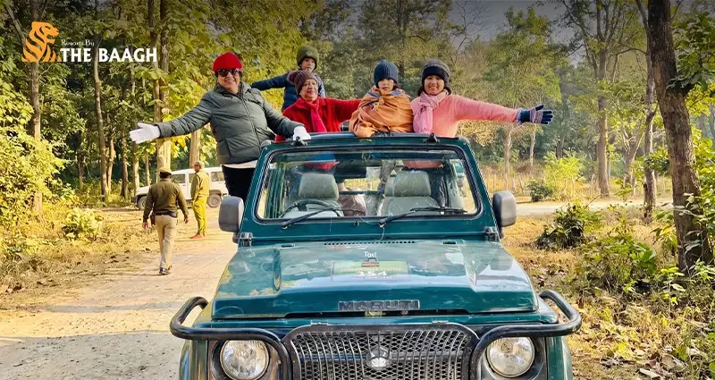 Visiting Jim Corbett with Elderly Parents: Comfortable Safaris, Easy Days and What to Skip