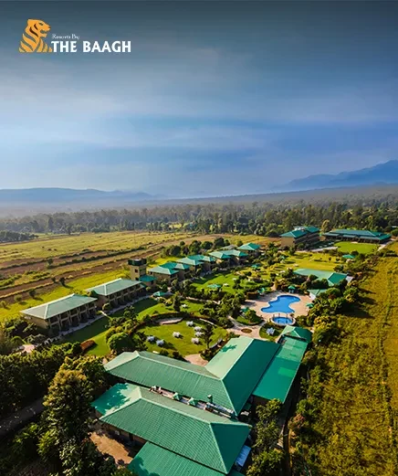 How Much Does a Jim Corbett Trip Actually Cost? Full Price Breakdown for 2026