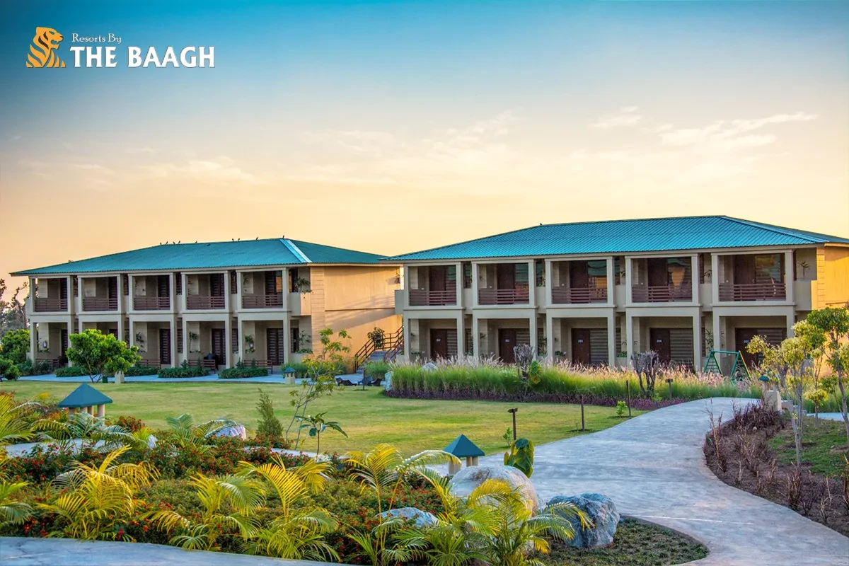 River-Facing vs Jungle-View Rooms in Jim Corbett: Which Should You Book?