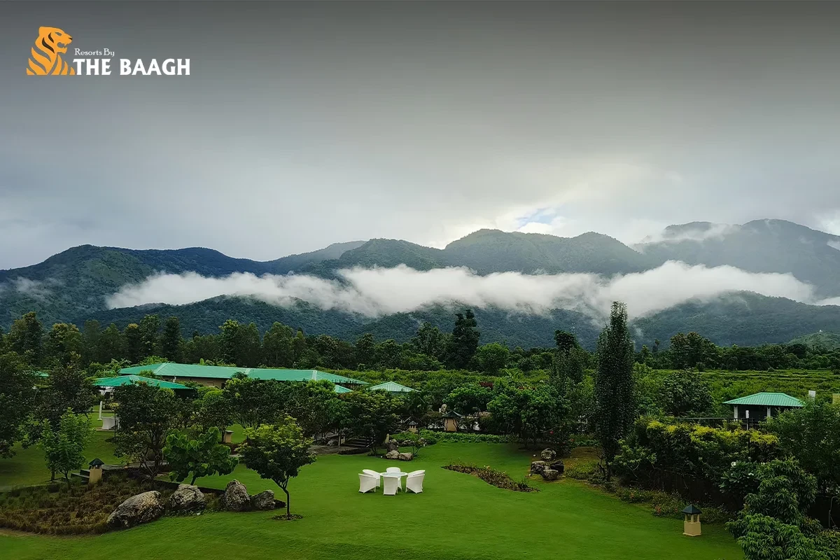 What Makes Resorts in Corbett Different from Traditional Hotels?