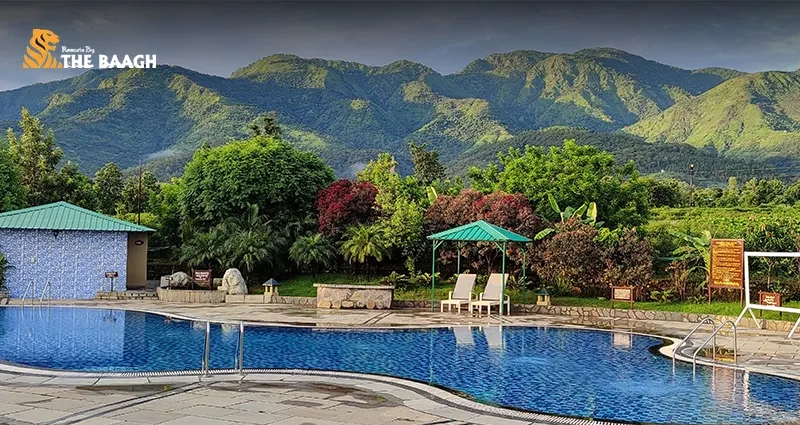 Why Resorts By The Baagh is the Best Resort in Jim Corbett