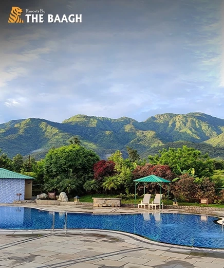 Discover Luxury in the Wild: Why Resorts By The Baagh Jim Corbett Tops the List of Hotels in Jim Corbett