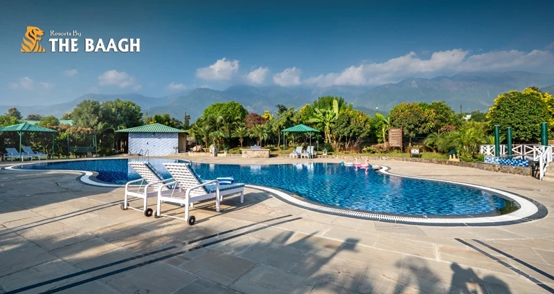 10 Luxury Resorts in Jim Corbett for an Unforgettable Stay in the Wild