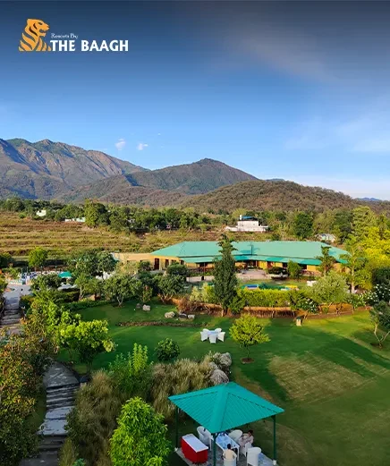 Destination Wedding in Jim Corbett: Everything You Need to Know Before Booking