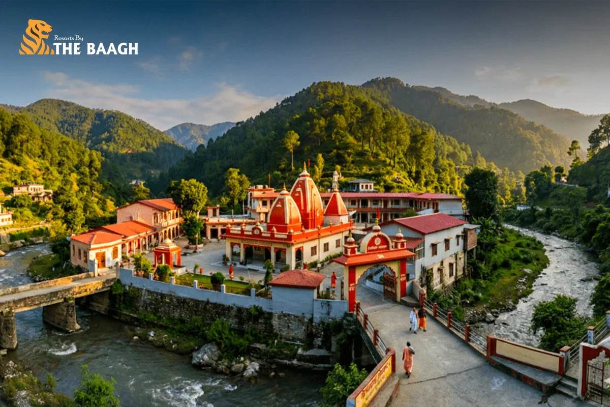 Neem Karoli Baba Ashram: History, Timings, Aarti and Complete Visitor Guide