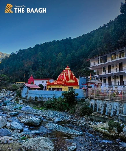 Group Trip to Neem Karoli Baba's Bhimtal: The Best Vacation Packages for Families and Friends