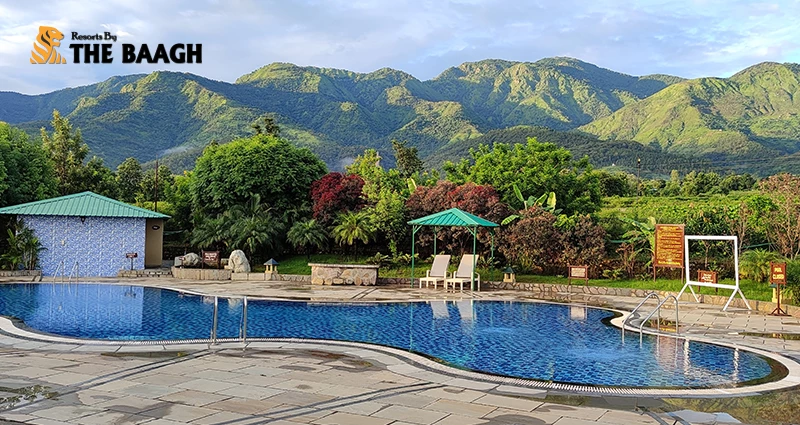 Luxury Amid Wilderness: Experience Nature at Jim Corbett Resorts