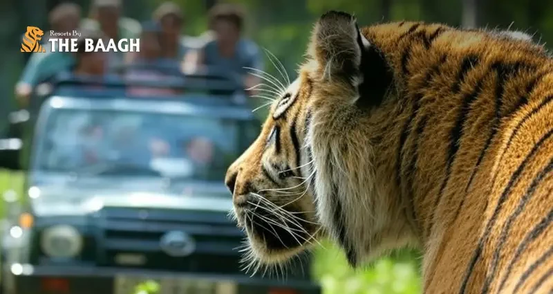 Best Resorts in Corbett for Wildlife Enthusiasts and Nature Lovers