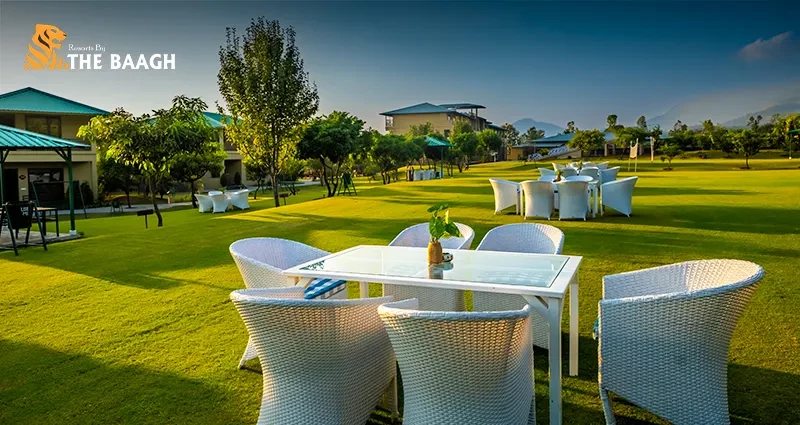Jim Corbett Couple Packages: 10 Romantic Experiences You Didn't Know Were Possible