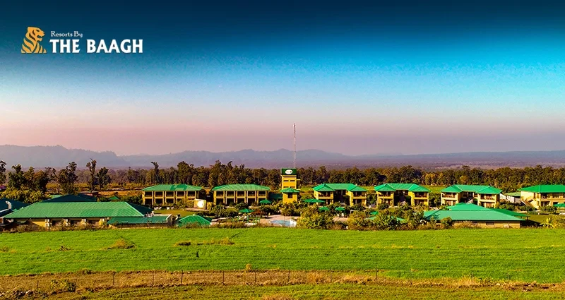 What Makes a Luxury Resort in Jim Corbett Truly Exceptional in 2026