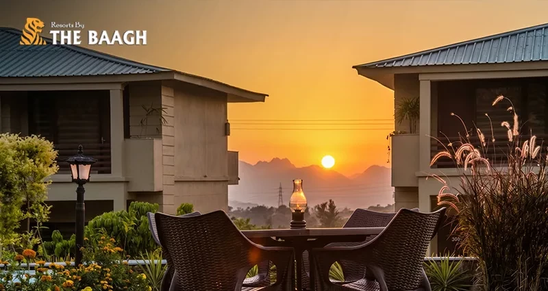 Jim Corbett 2 Night 3 Days Itinerary: Safari, Sunset, and Luxury Rolled Into One