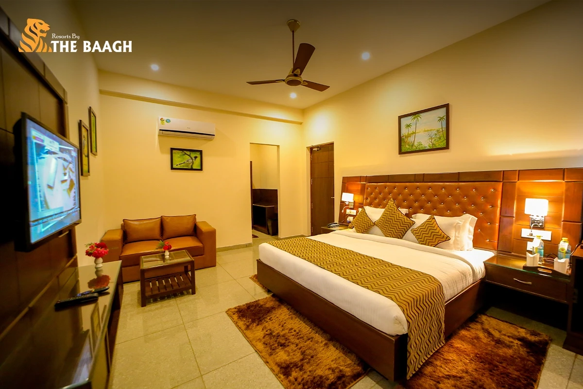 Solo Travel in Jim Corbett: Why a Luxury Forest Retreat Is the Best Trip You'll Take Alone