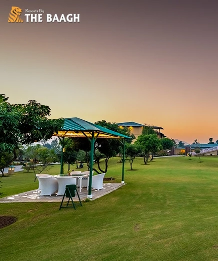 From Jungle Views to Spa Treatments: What Makes a Resort in Jim Corbett Truly Luxurious