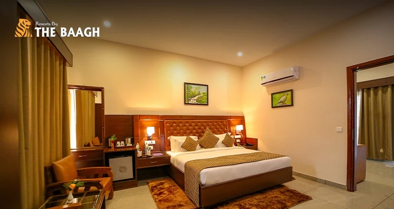 Beyond the Tiger: Why Jim Corbett Is Now North India's Favourite Weekend Detox Destination