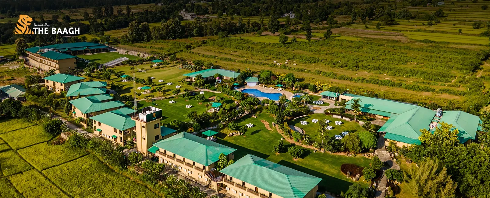 Why a Luxury Jungle Stay in Jim Corbett Is the Perfect Digital Detox