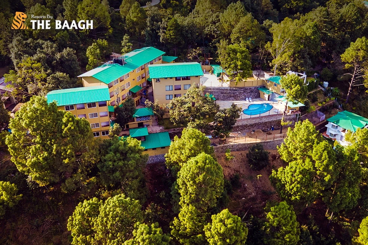 Corporate Wellness Retreats in Bhimtal: Why India's Top Teams Are Swapping Boardrooms for the Hills