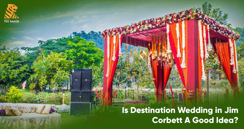 Is Destination Wedding in Jim Corbett A Good Idea?