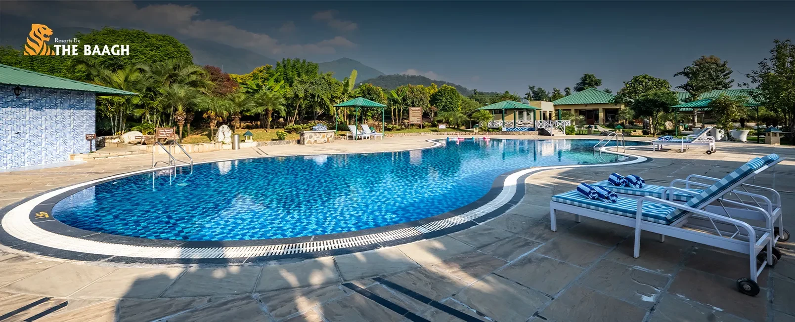A Checklist Beyond Star Ratings for Choosing a Truly Luxury Resort in Jim Corbett