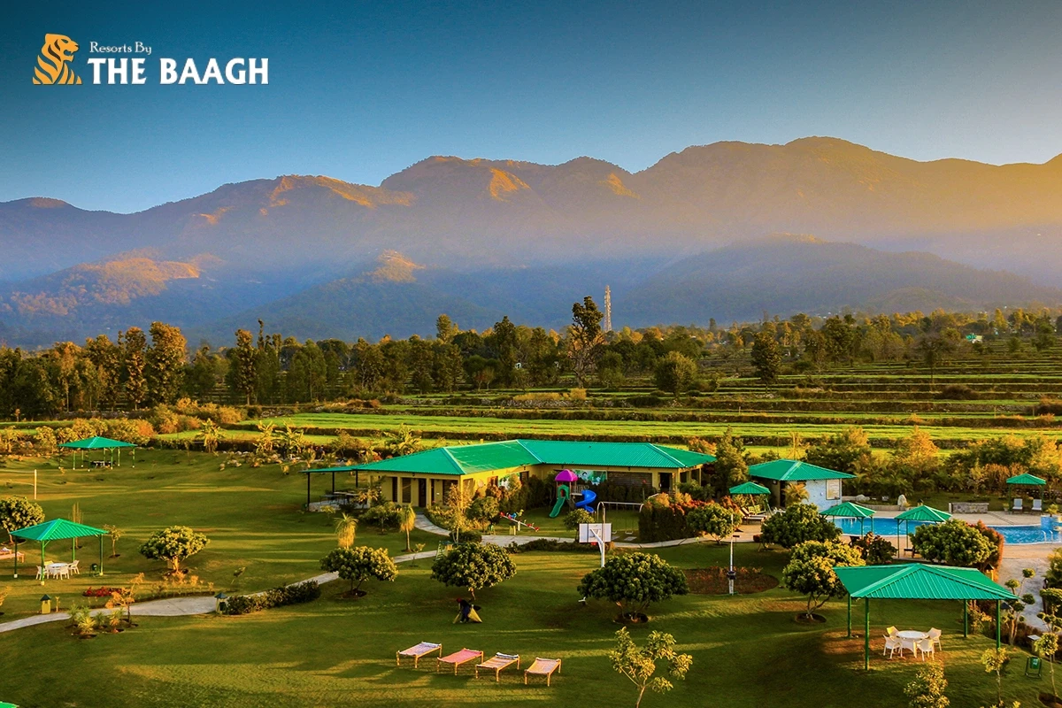 Wake Up to the Wild: What a Typical Morning Looks Like at a Luxury Jim Corbett Resort