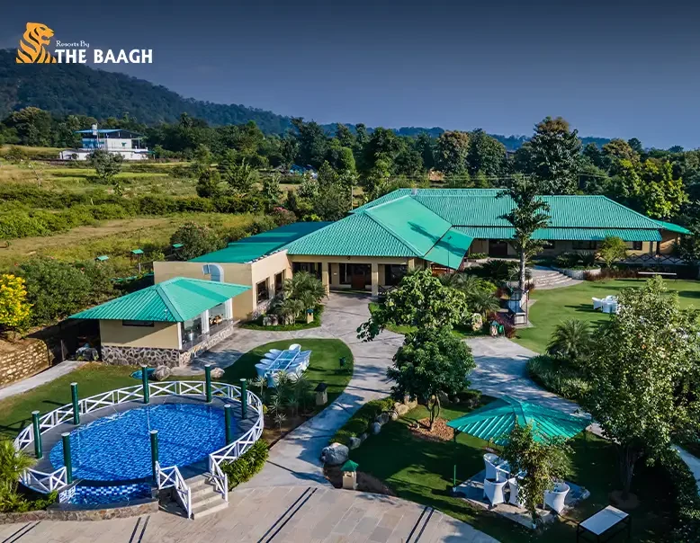 Why a Luxury Jungle Stay in Jim Corbett Is the Perfect Digital Detox