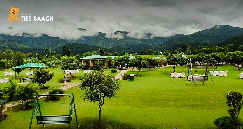 Solo Travel in Jim Corbett: Why a Luxury Forest Retreat Is the Best Trip You'll Take Alone