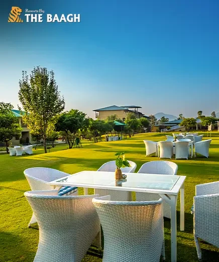 River-Facing vs Jungle-View Rooms in Jim Corbett: Which Should You Book?