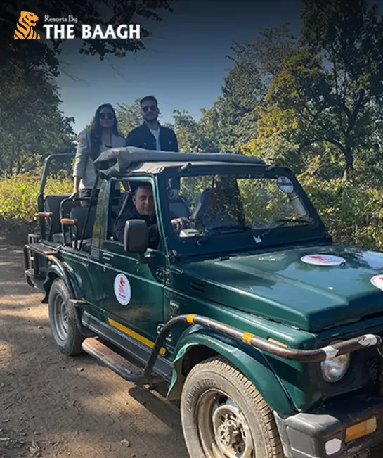Ultimate 2 Night/3 Days Itinerary for Jim Corbett National Park: Safaris, Stays & Dining Tips