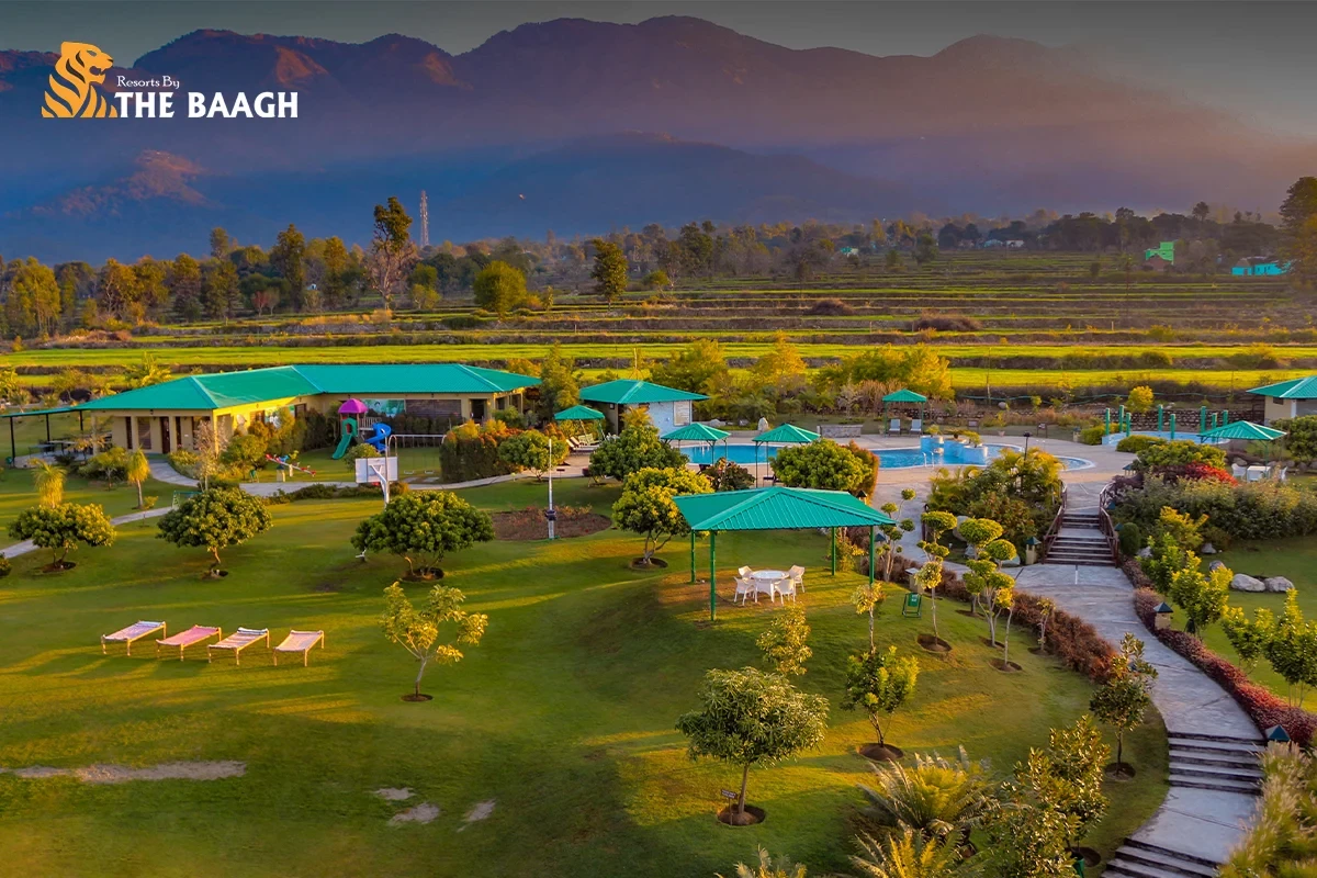 Weekend Getaway Guide: Why Jim Corbett is the Perfect Holiday Destination