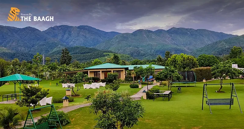 Planning a Long Weekend? Here's Why Jim Corbett Should Be Your First Choice