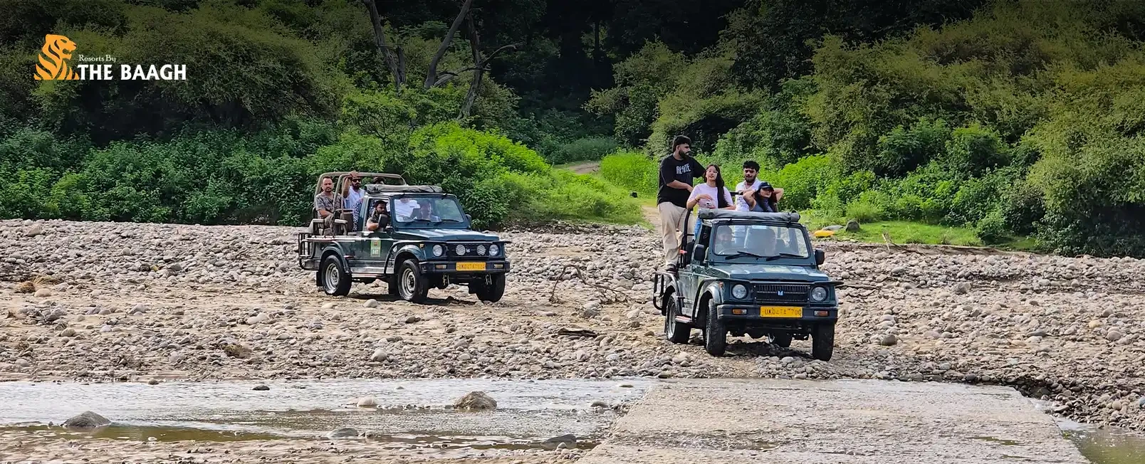 Should You Visit Jim Corbett or Bhimtal First on Your First Uttarakhand Trip?