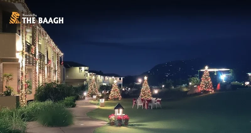 Your Perfect Christmas Gift: A Family Holiday in Jim Corbett