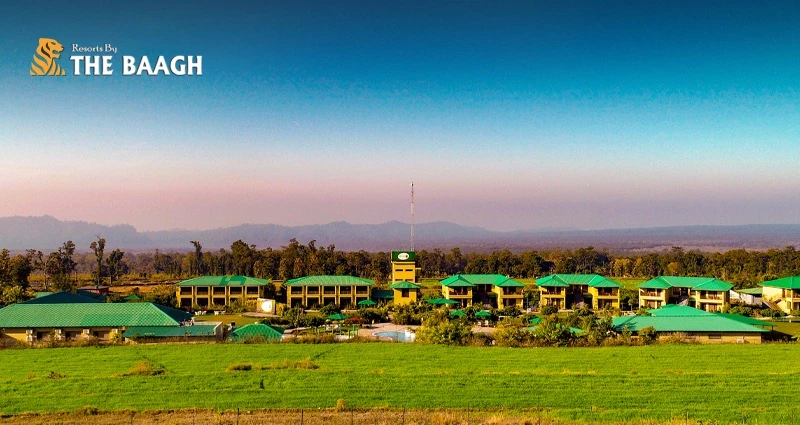 Resorts in Corbett That Offer the Perfect Blend of Luxury and Wilderness