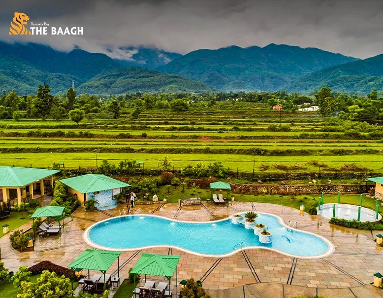 How to Choose a Resort Location for Your Jim Corbett Safari: Distance, Access & Stay Comfort
