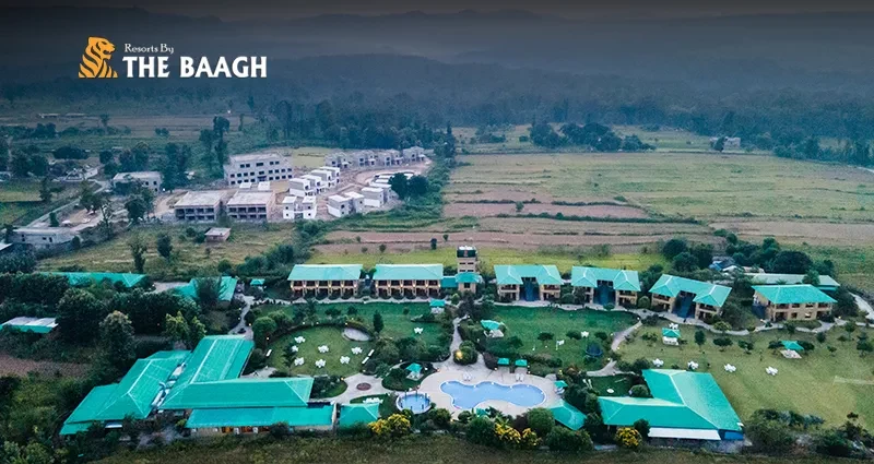 Forest-Themed Events and Corporate Retreats at Our Jim Corbett Luxury Resort