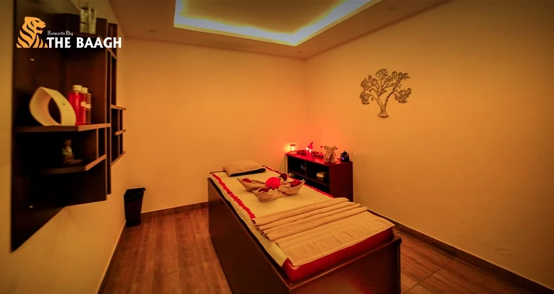 Ayurveda by the Lake: The Science Behind Wellness Retreats in the Kumaon Hills