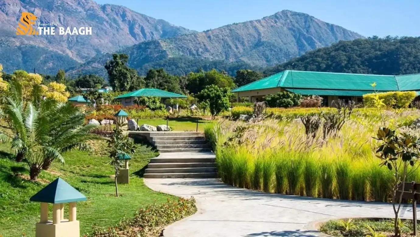 The 5 Important Steps to Check-off before Venue Destinations