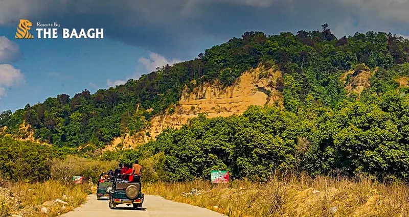 How to Choose the Best Jim Corbett National Park Package: Safari, Stay & Add-Ons Explained