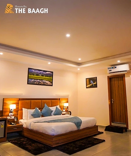 Wildlife Photography at Jim Corbett: What to Shoot, When to Go, and Where to Stay